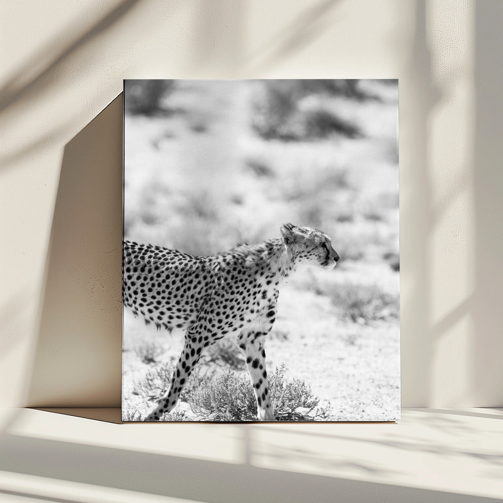 Cheetah&#039;s Grace | Canvas