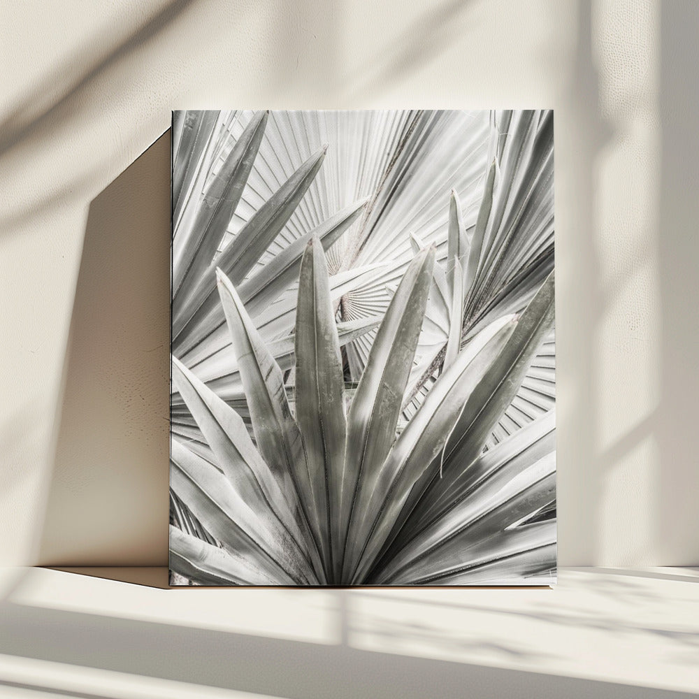 Silver Fronds | Canvas