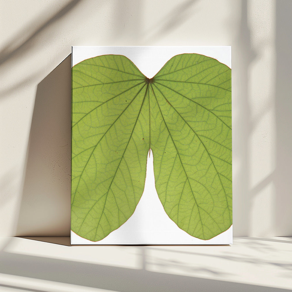 Leafy Vein Symphony | Canvas