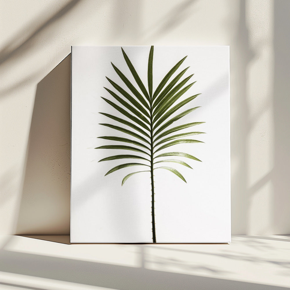 Verdant Frond | Canvas