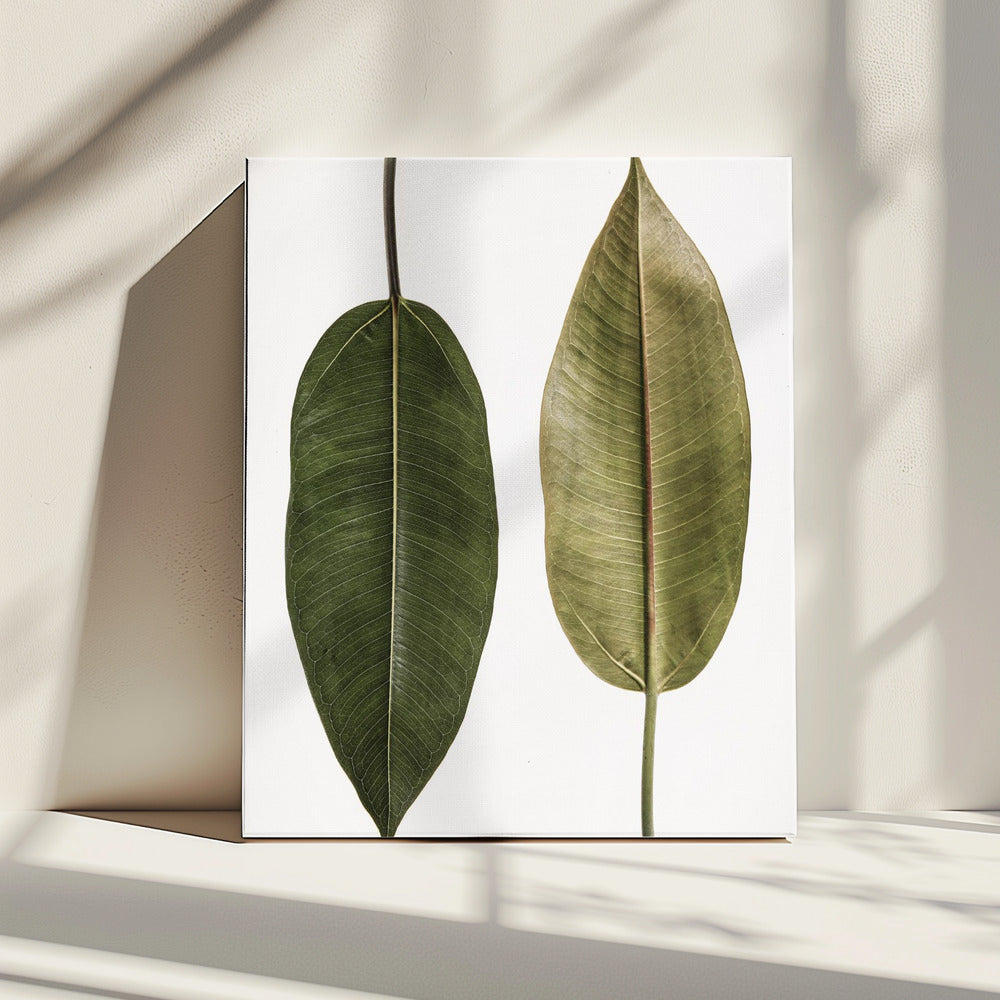 Dual Leaf Elegance | Canvas