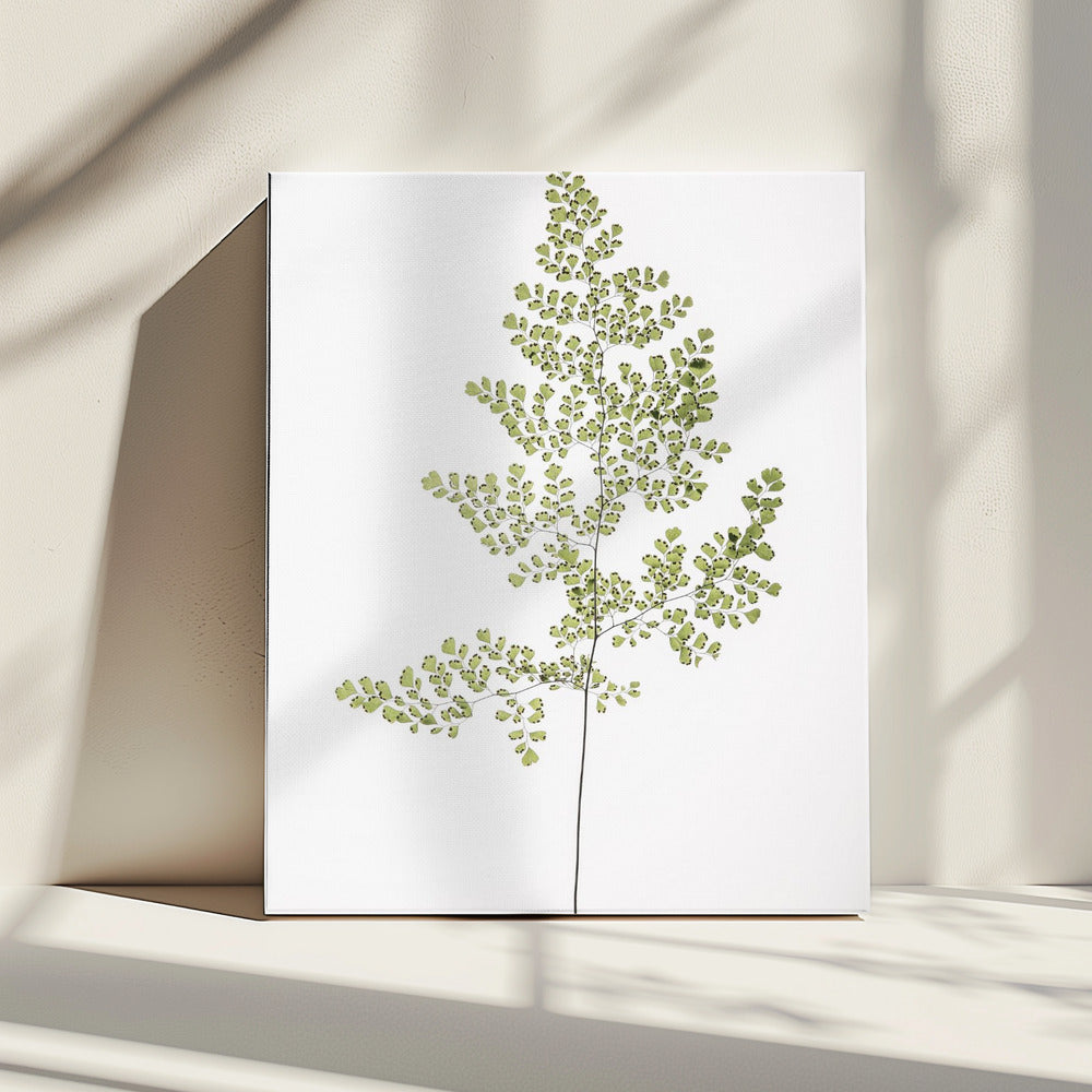 Fern Elegance | Canvas
