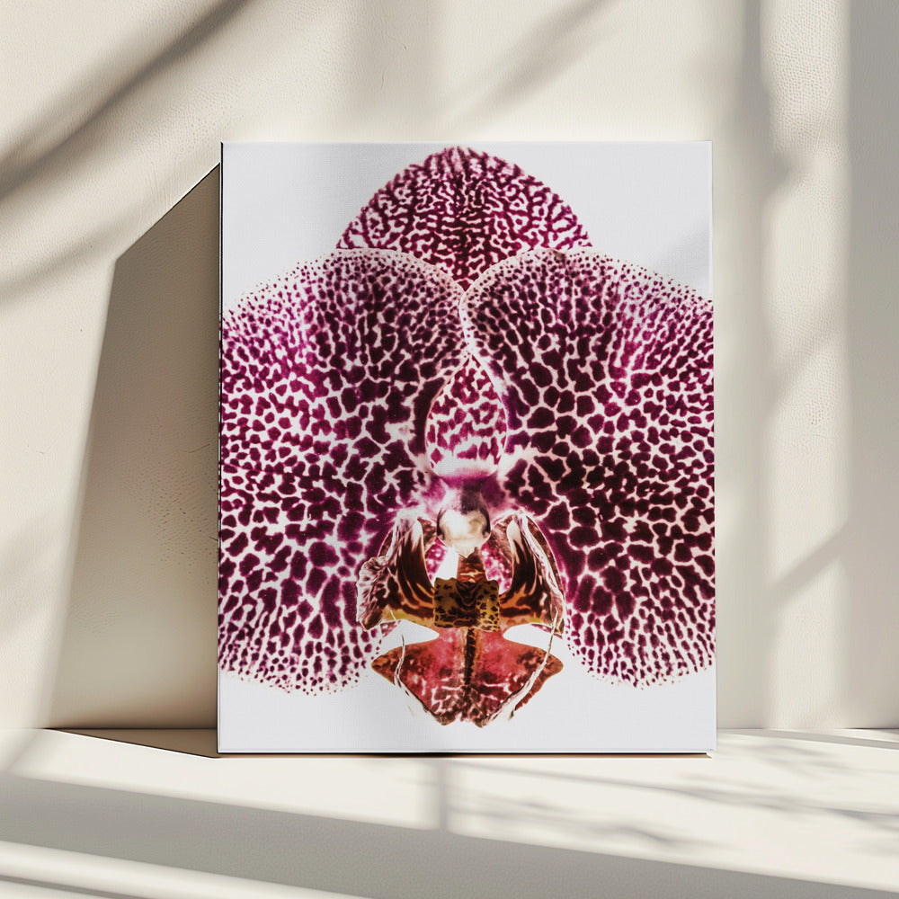 Petal Symmetry Burst | Canvas