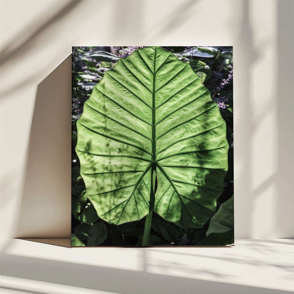 Verdant Veins | Canvas