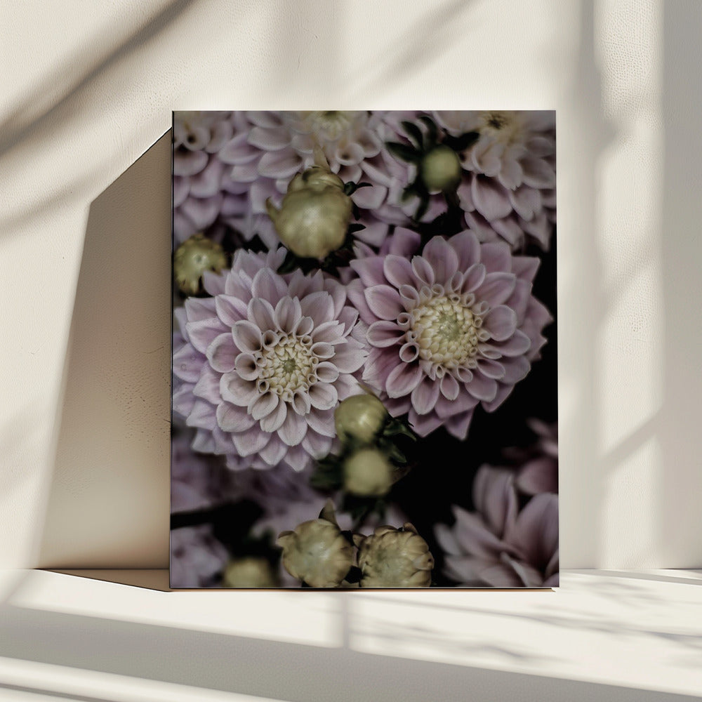 Petals in Bloom | Canvas