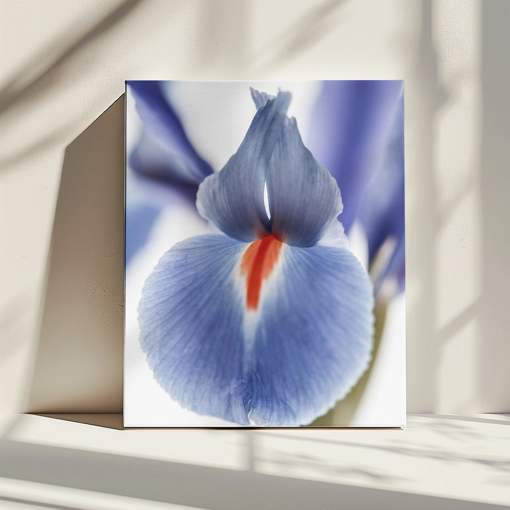 Blossom Whisper | Canvas