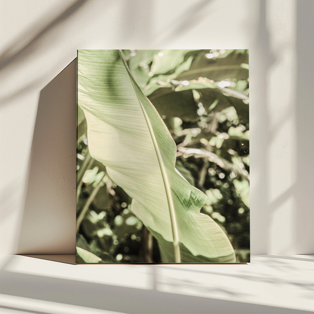 Emerald Canopy | Canvas