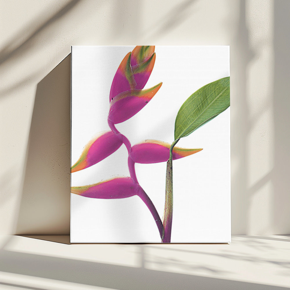 Tropical Elegance | Canvas