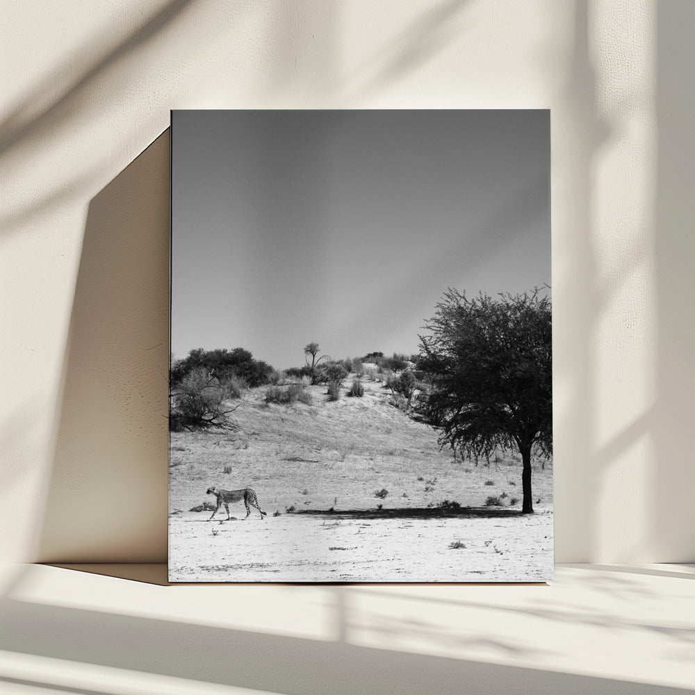 Cheetah&#039;s Solitude | Canvas