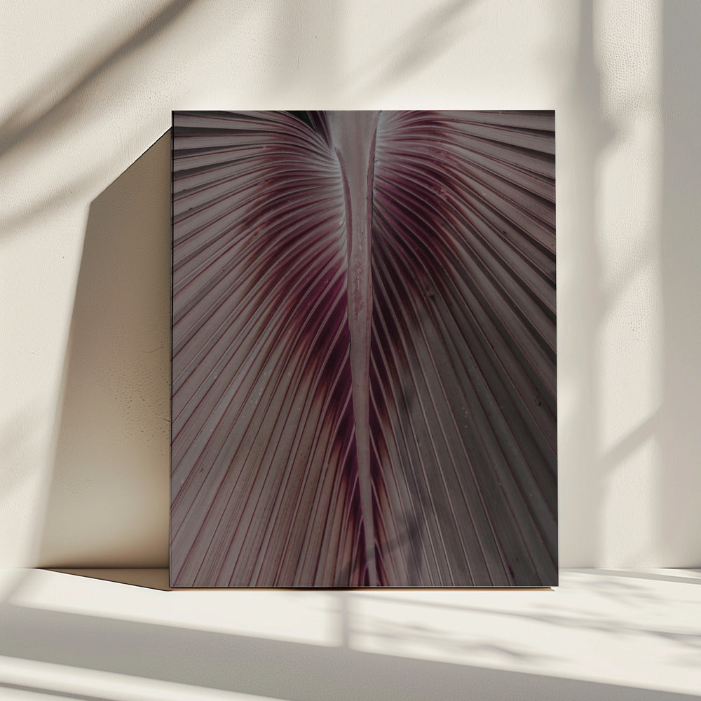 Crimson Leaf Veins | Canvas