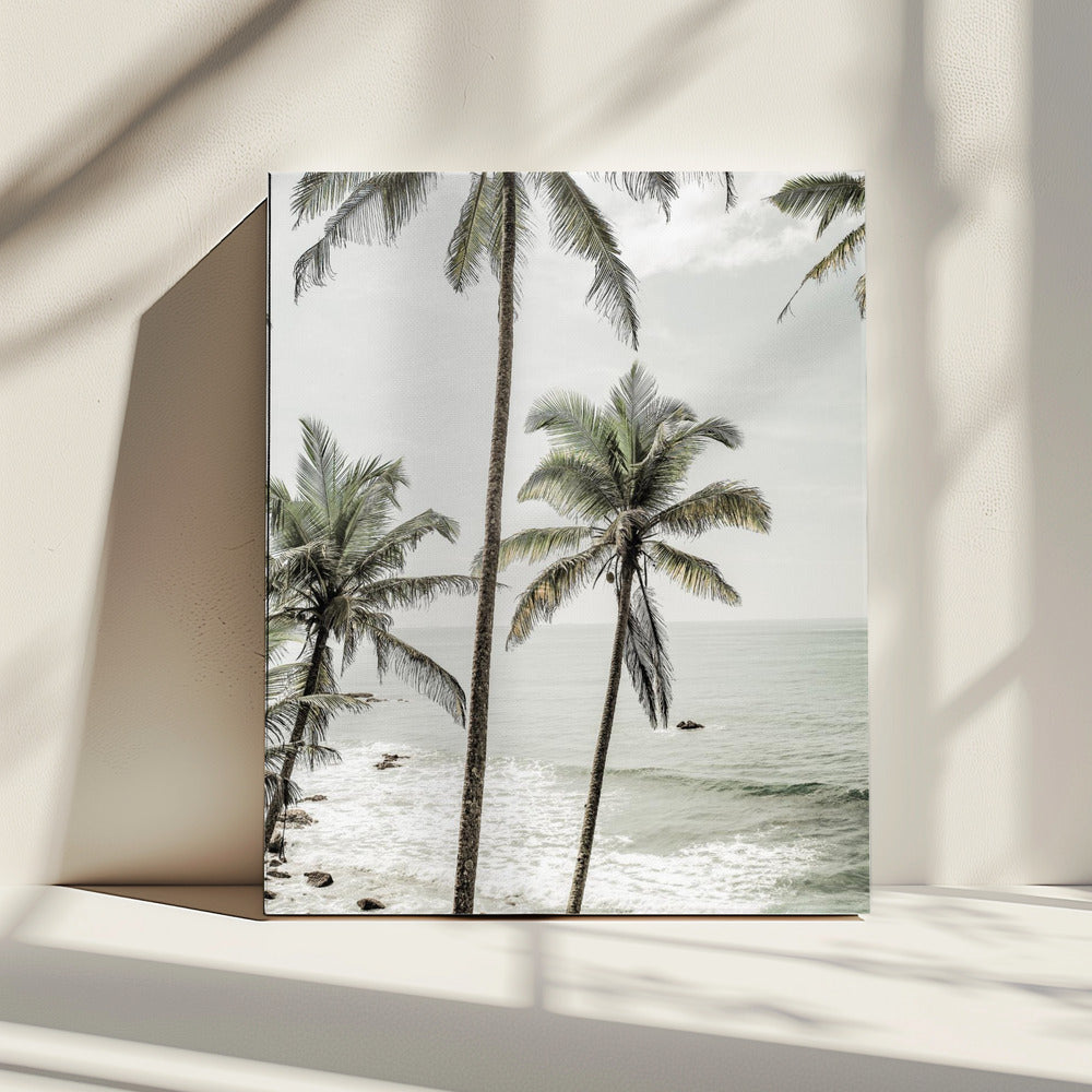 Serene Palm Coast | Canvas