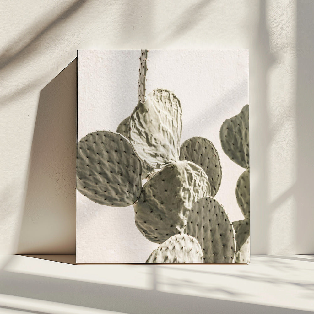 Prickly Elegance | Canvas