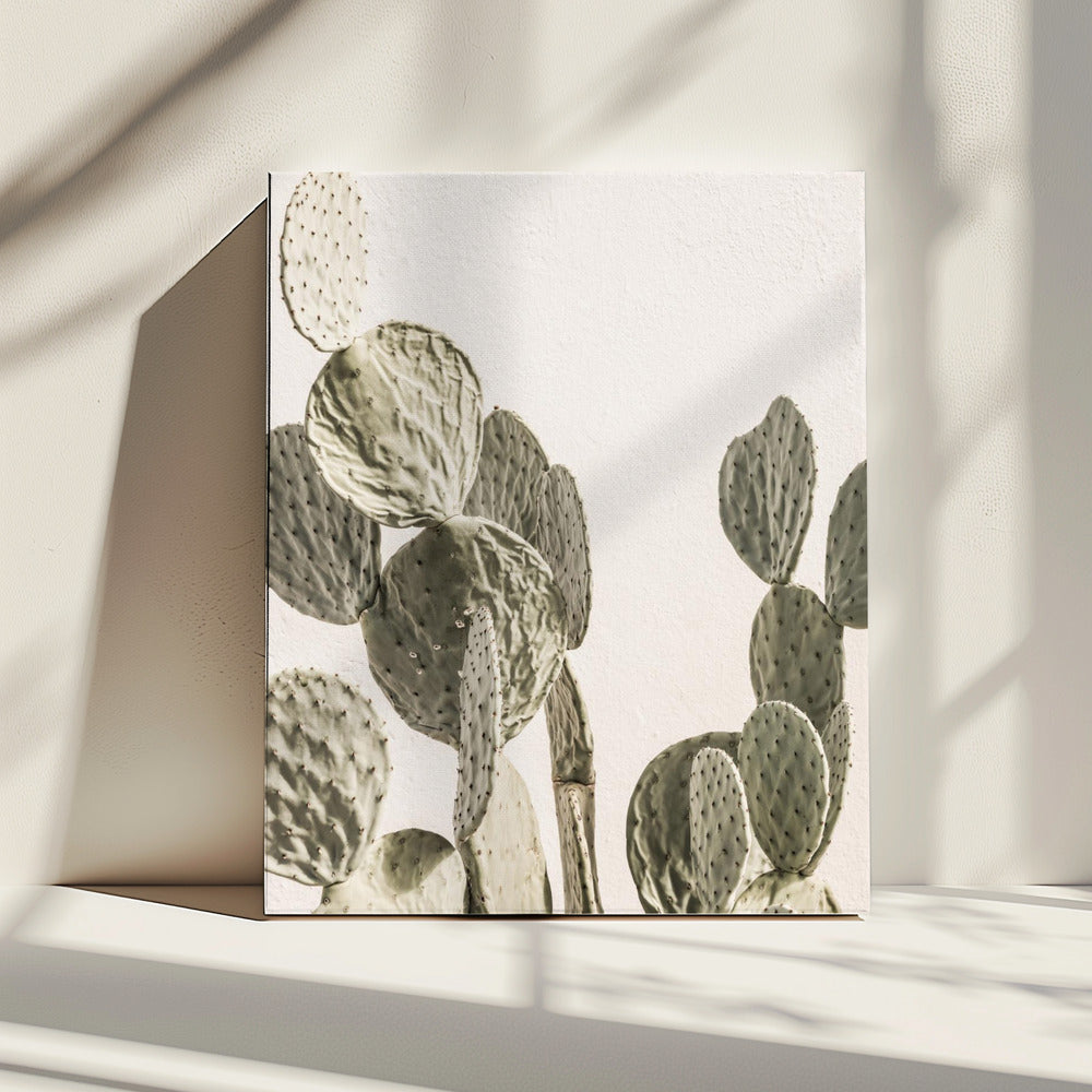 Cactus Serenity | Canvas