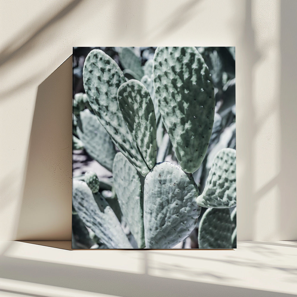 Desert Serenity | Canvas