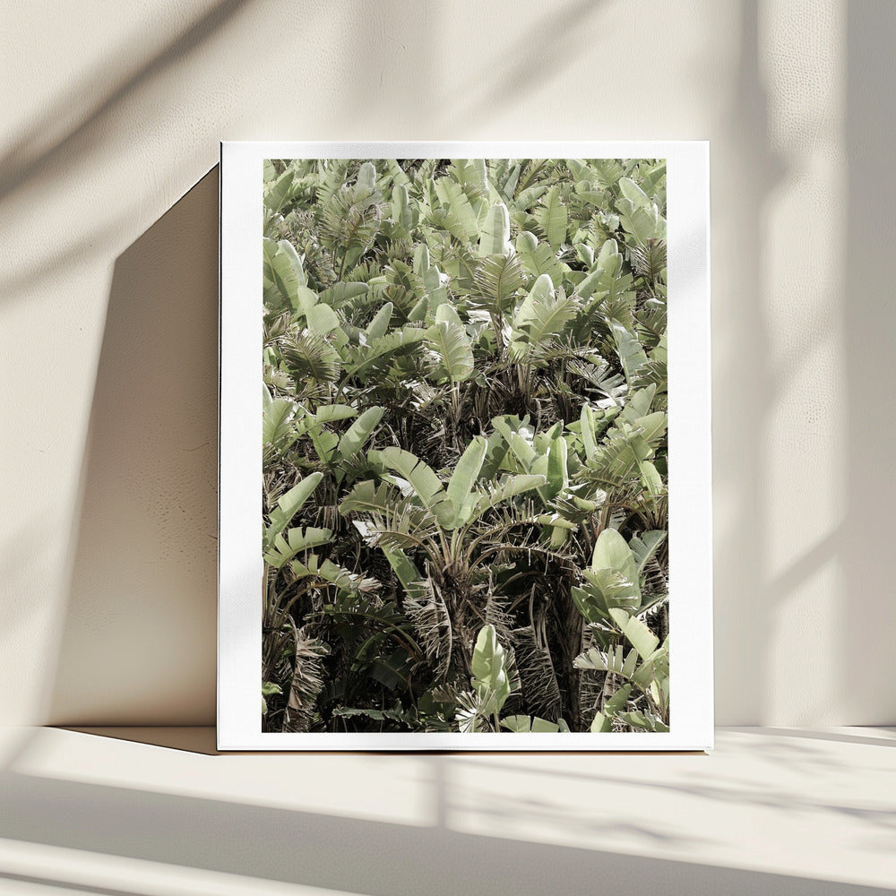 Verdant Canopy | Canvas