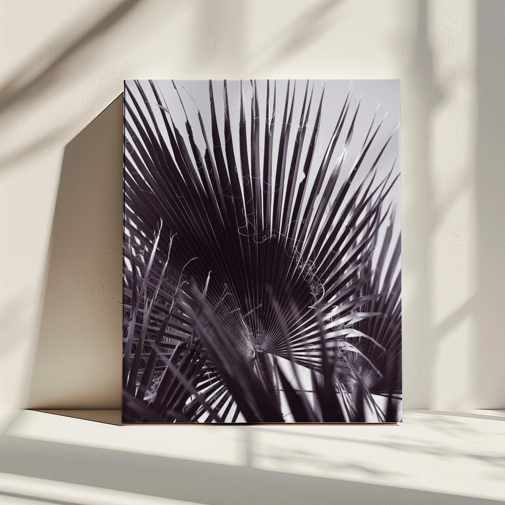 Palm Whisperings | Canvas