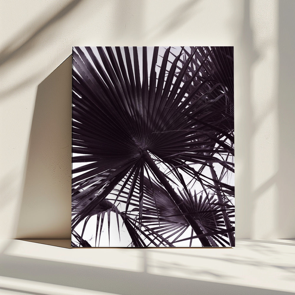 Palm Silhouette | Canvas