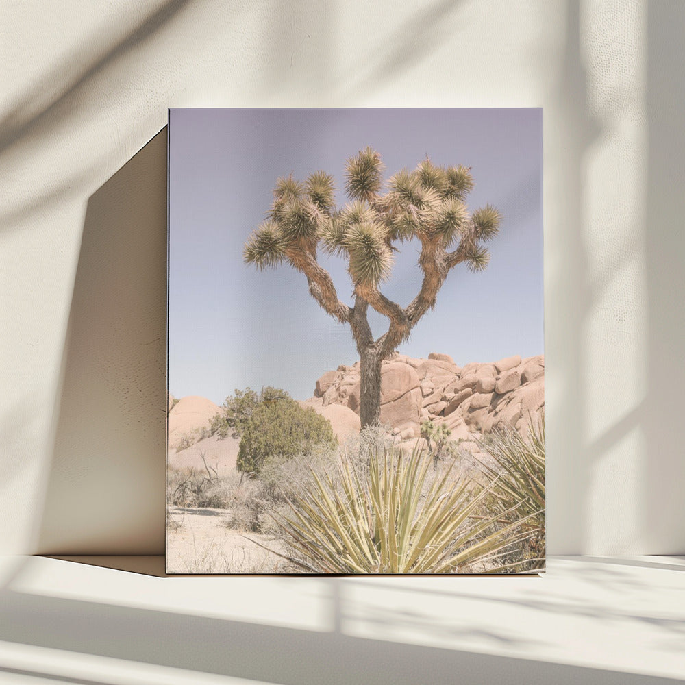 Desert Dreamscape | Canvas