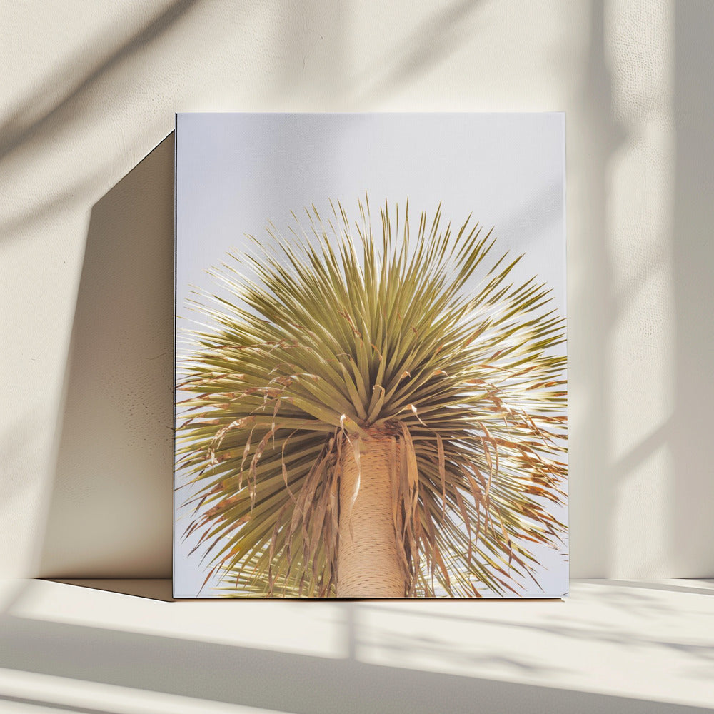 Desert Crown | Canvas