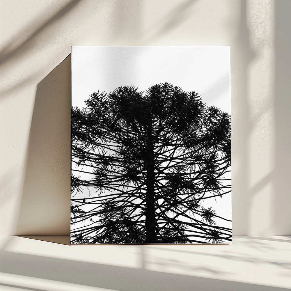 Silhouetted Symmetry | Canvas