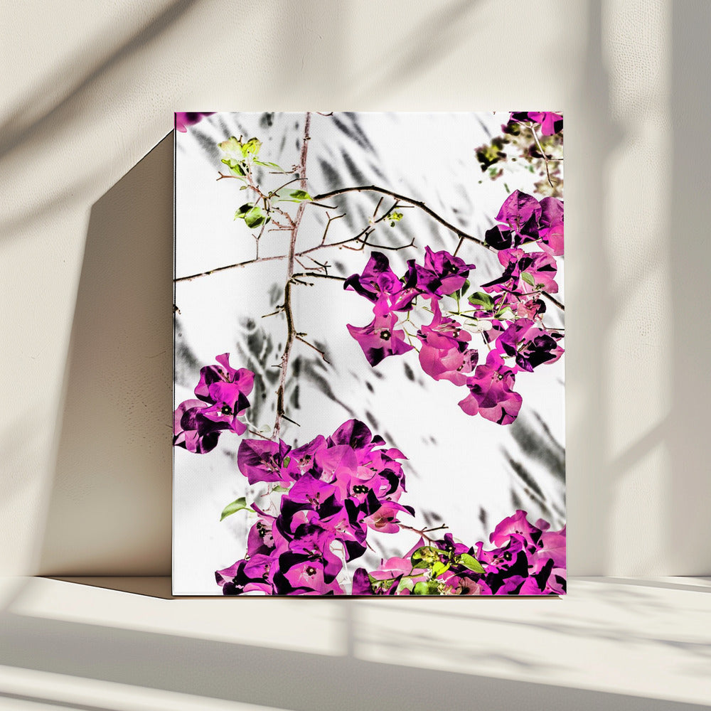 Vibrant Petal Dance | Canvas