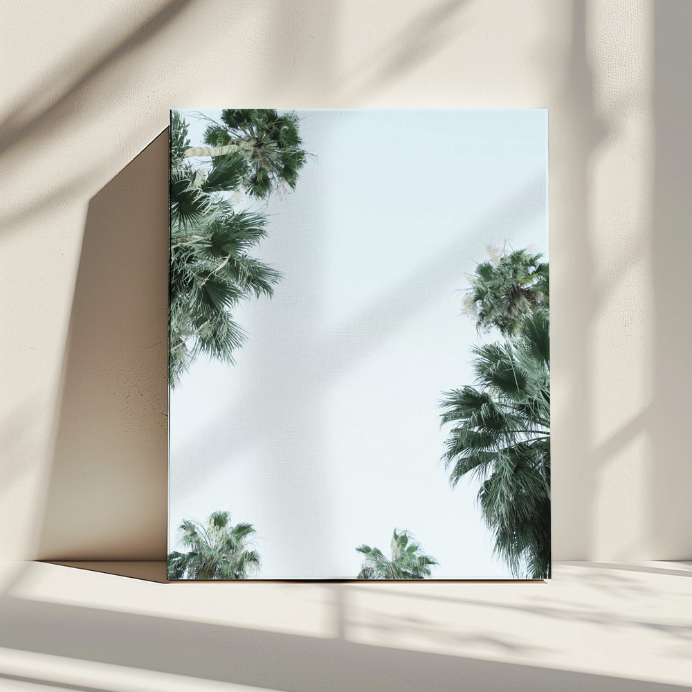 Palm Tree Serenity | Canvas