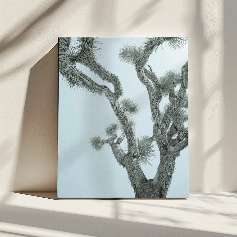 Desert Elegance | Canvas