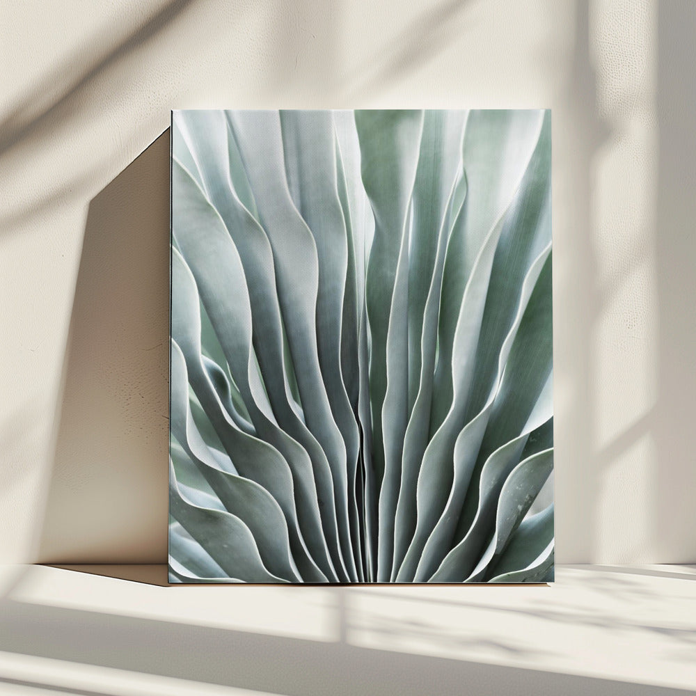 Nature&#039;s Grace | Canvas