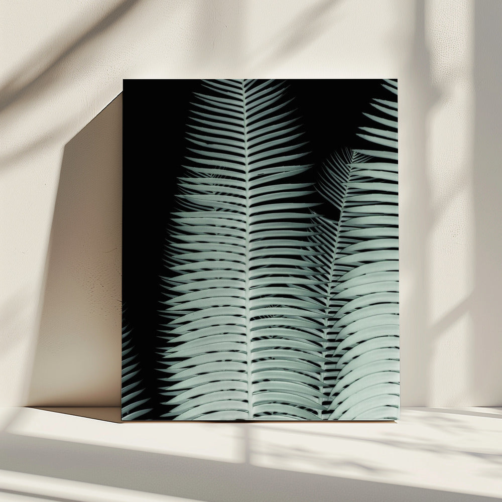 Silver Fronds Symphony | Canvas