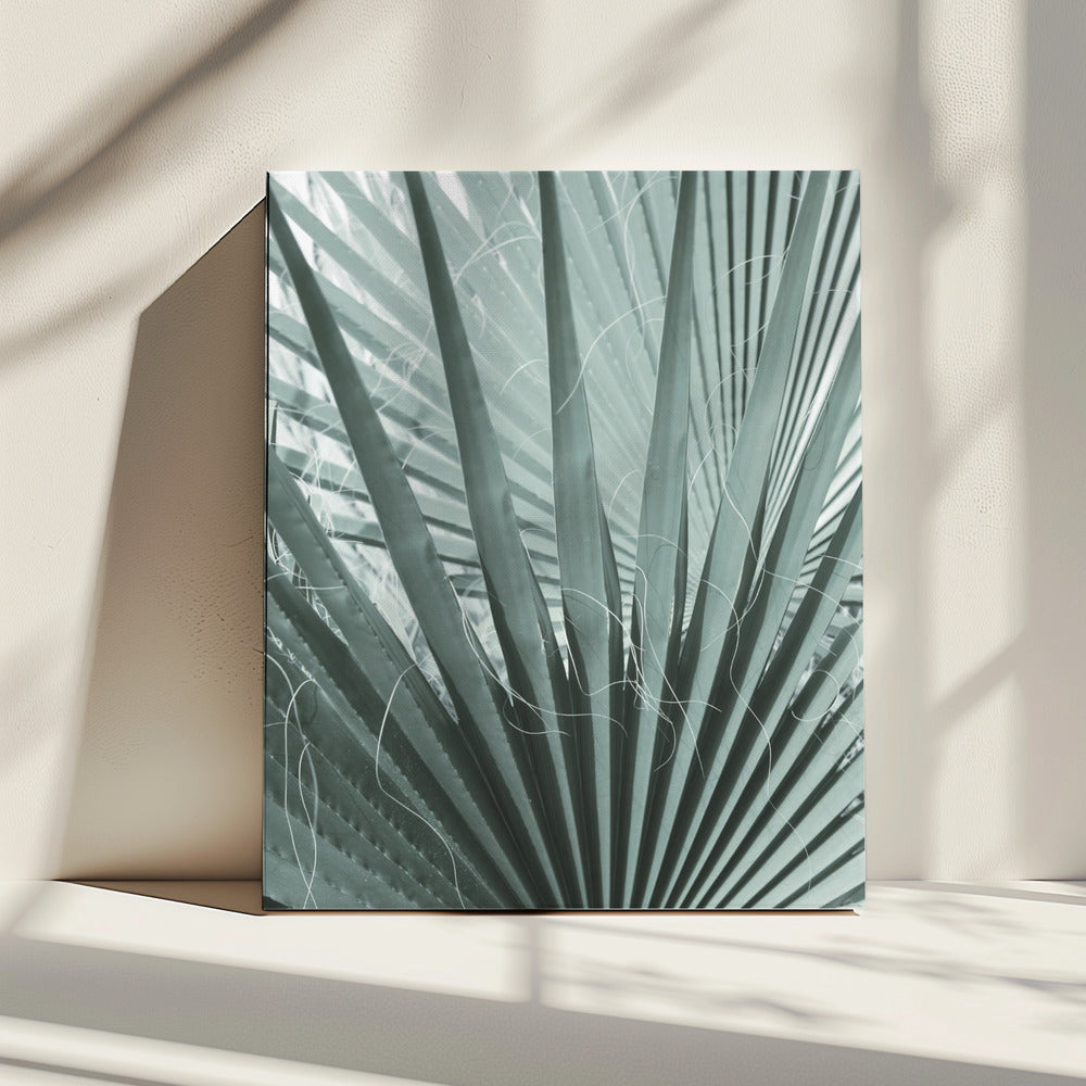 Frond Geometry | Canvas