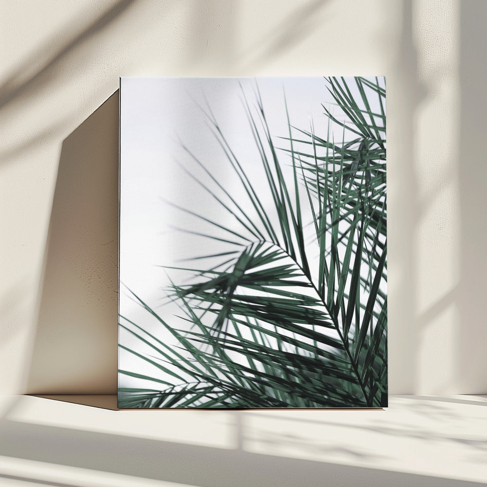 Whispering Palms | Canvas