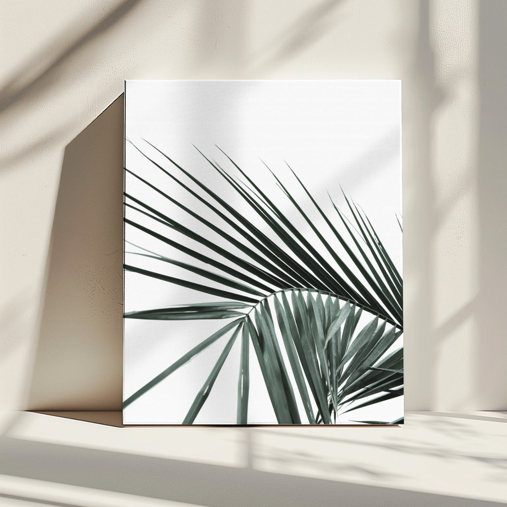 Tropical Elegance | Canvas