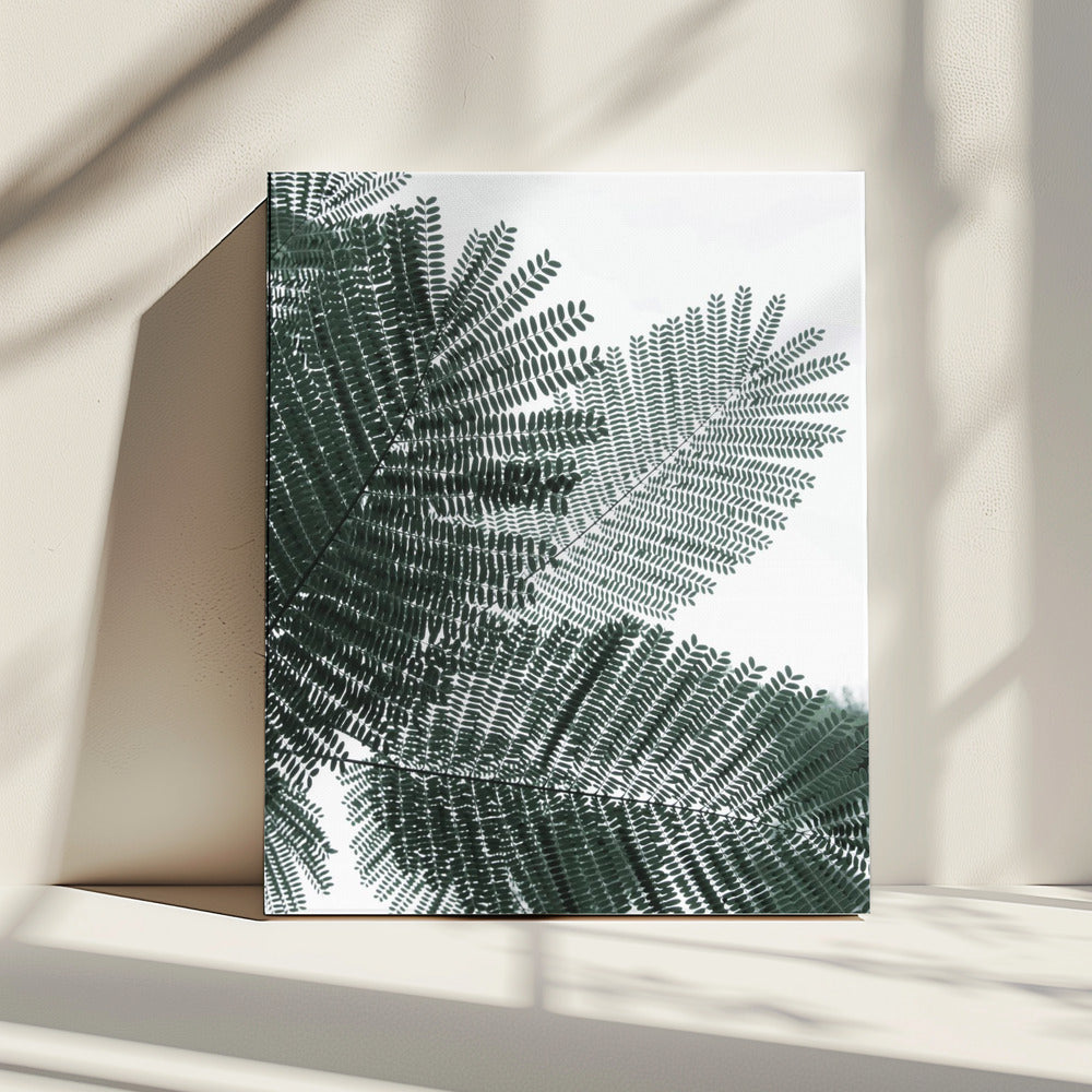 Fern Whispering | Canvas