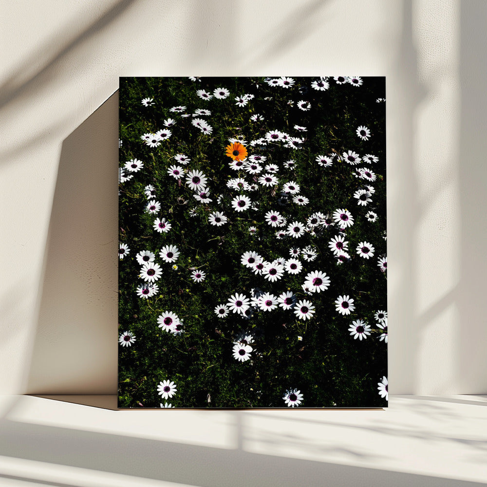 Unique Blossom | Canvas