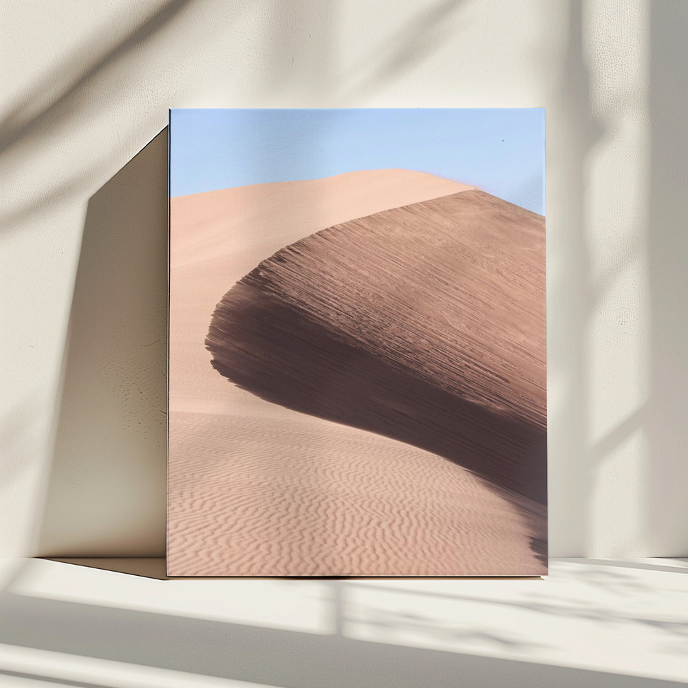 Desert&#039;s Graceful Curve | Canvas