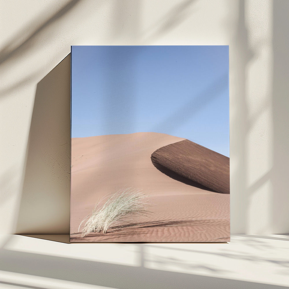 Desert Morningscape | Canvas