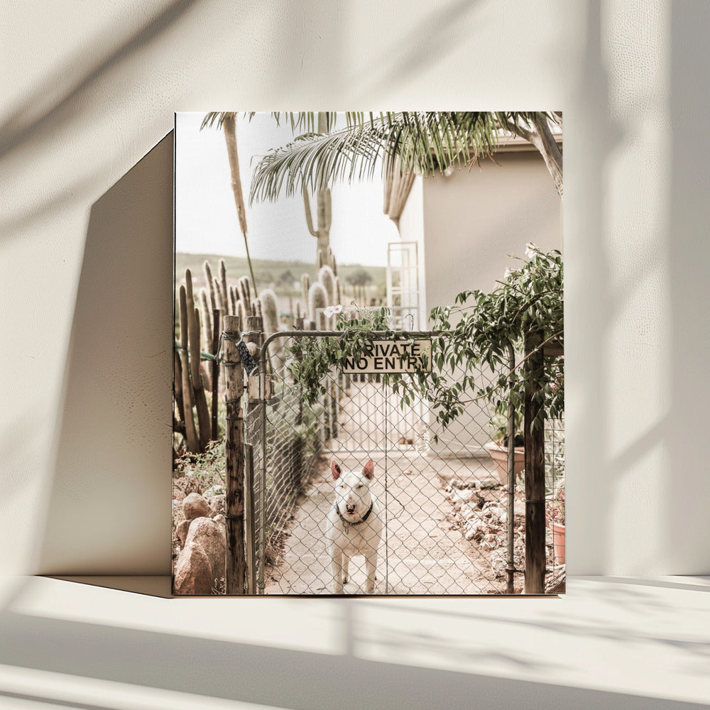 Guarding Serenity | Canvas