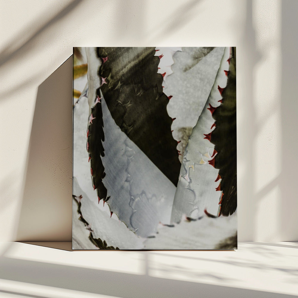 Desert Elegance | Canvas