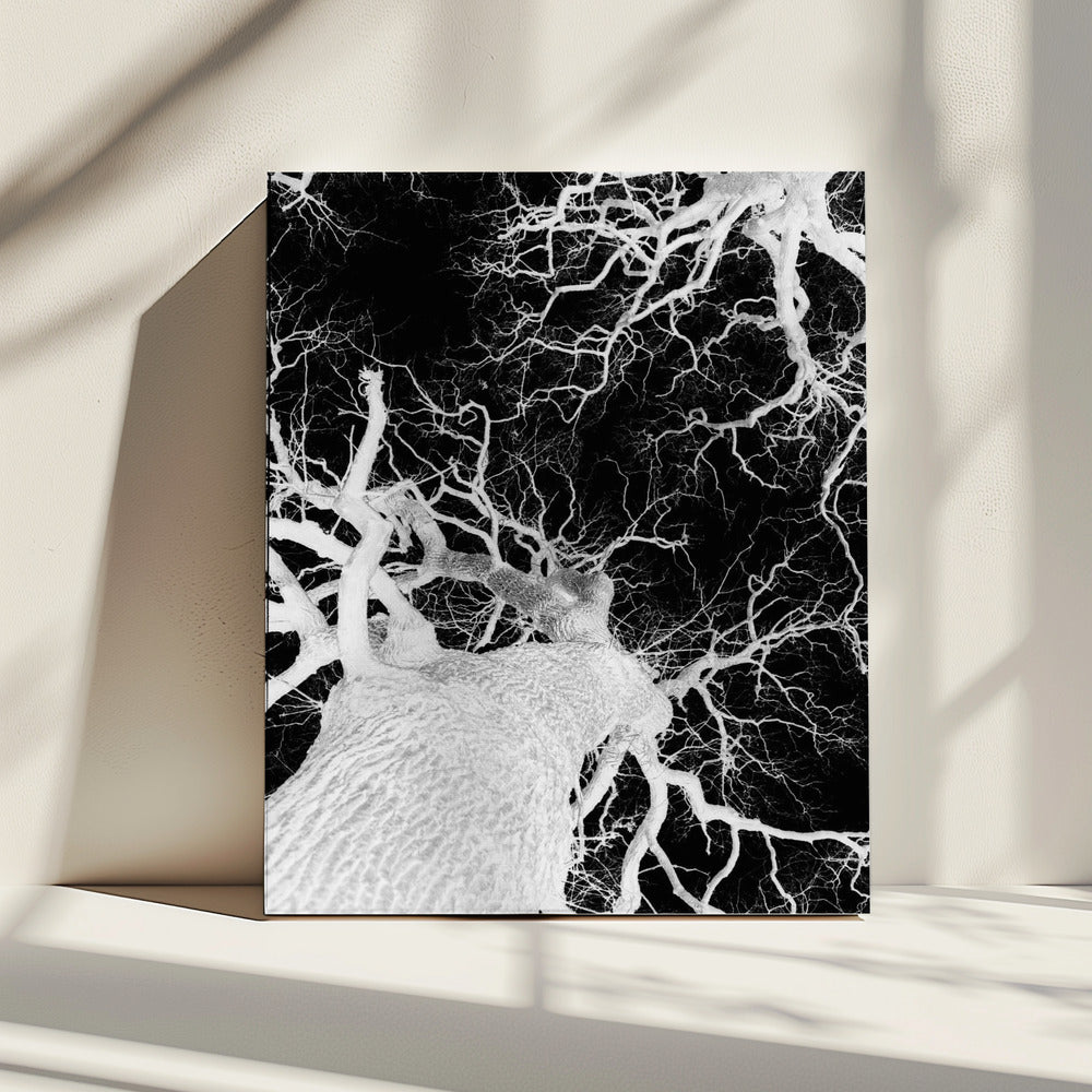 Winter&#039;s Veins | Canvas