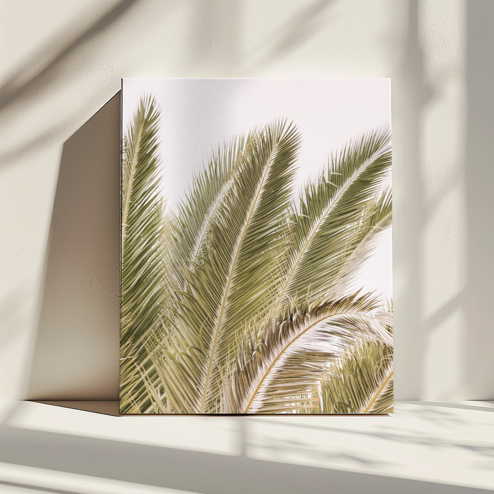 Fronds in the Breeze | Canvas