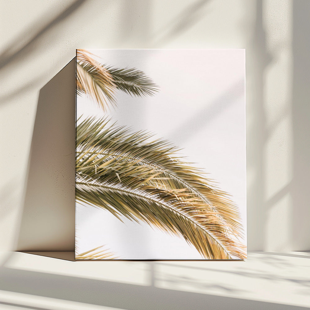 Golden Palm Breeze | Canvas