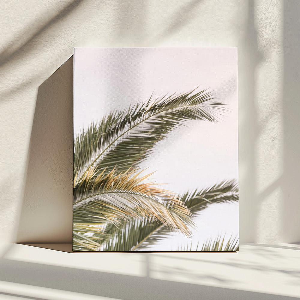 Serene Palms Sway | Canvas