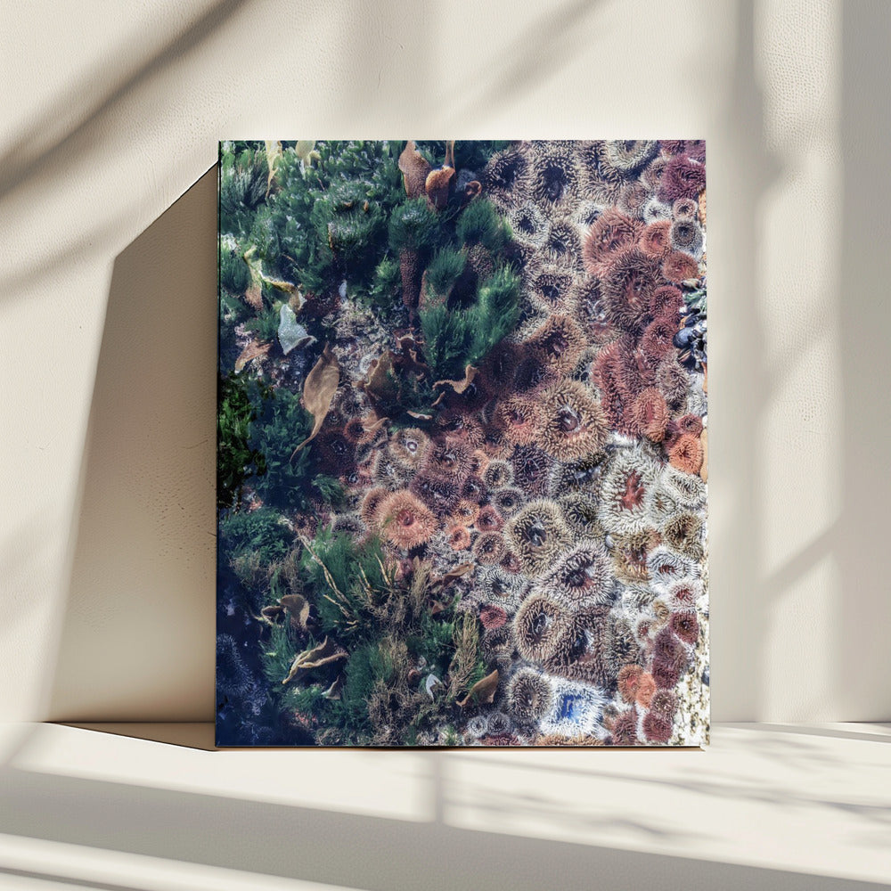 Ocean&#039;s Tapestry | Canvas