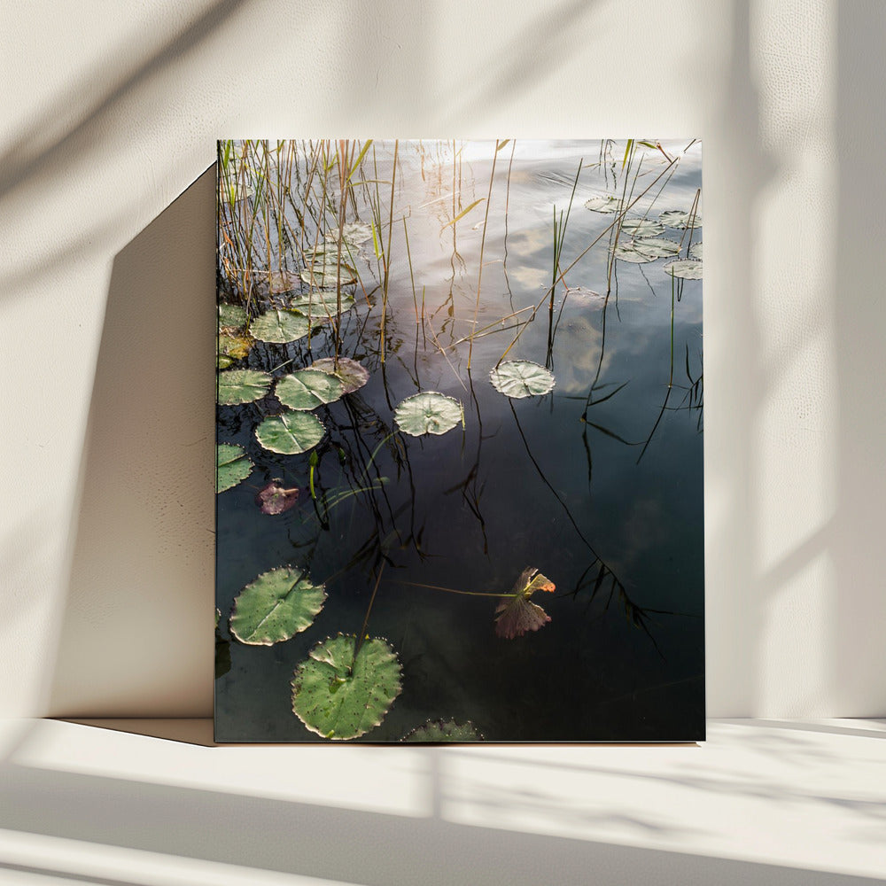 Lily&#039;s Tranquil Dawn | Canvas