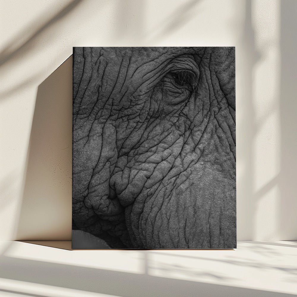 Elephant&#039;s Wisdom | Canvas