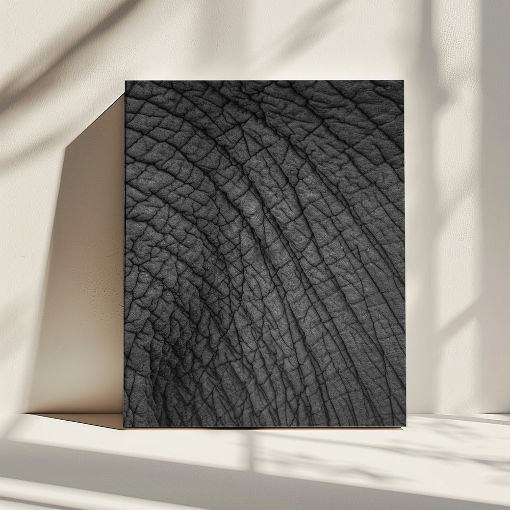 Elephant&#039;s Tapestry | Canvas