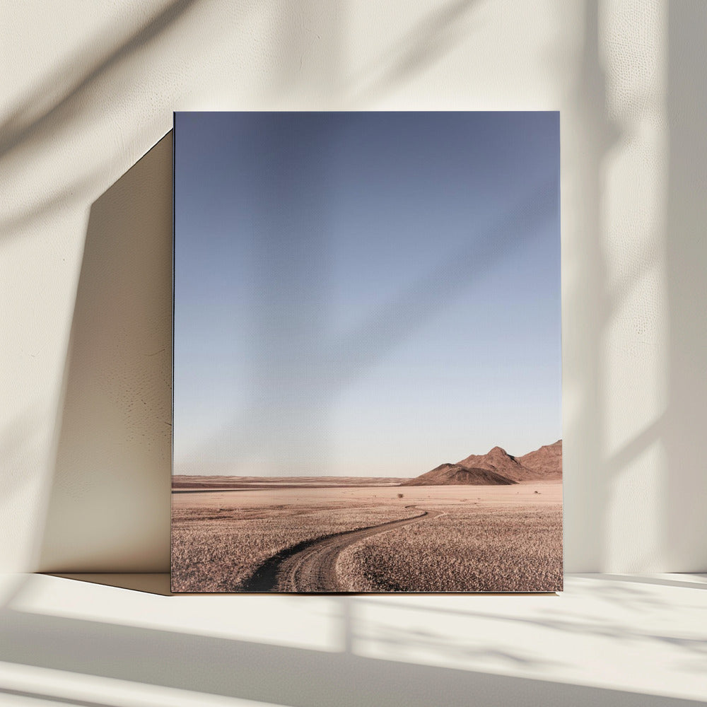 Desert Pathway | Canvas