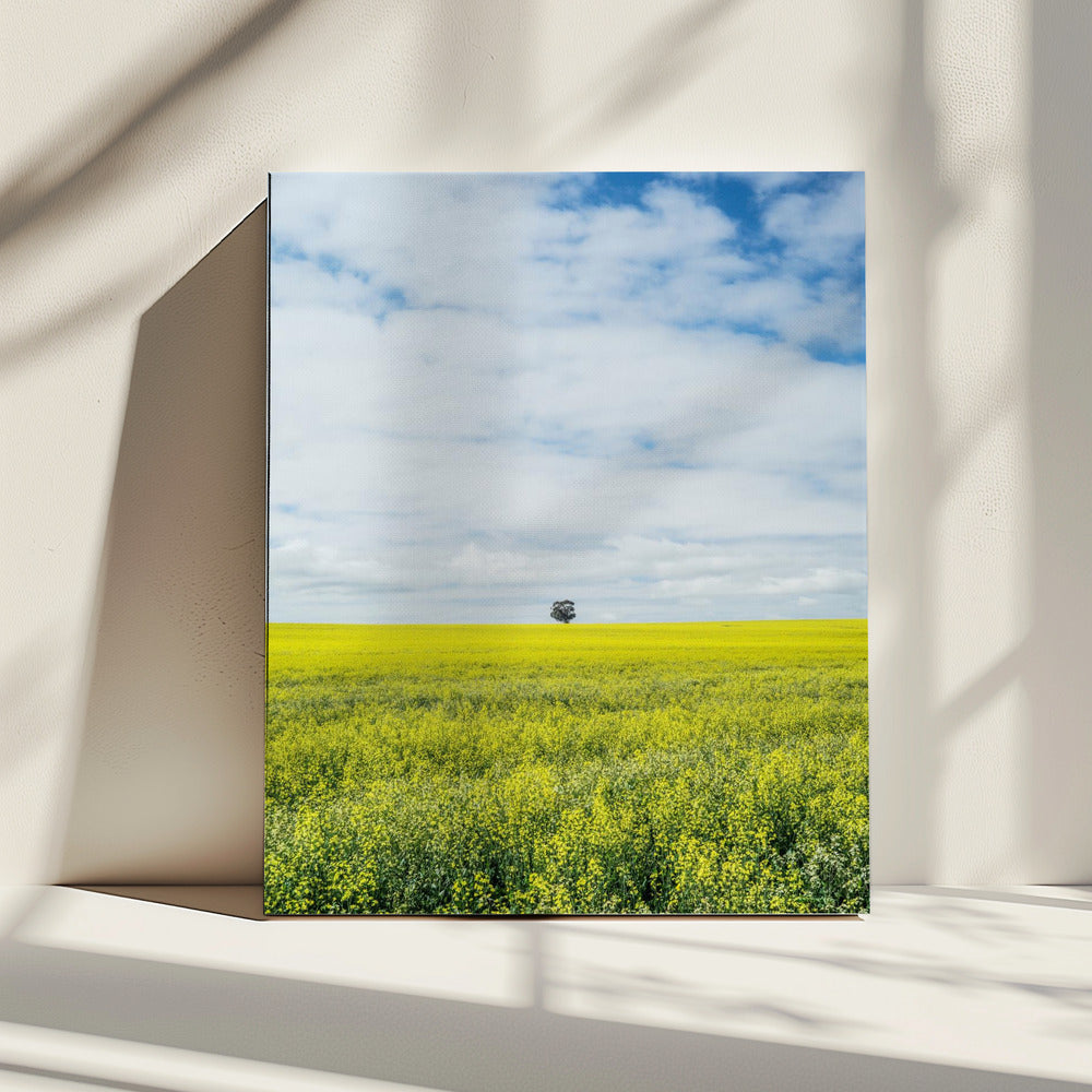 Solitary Tree Horizon | Canvas