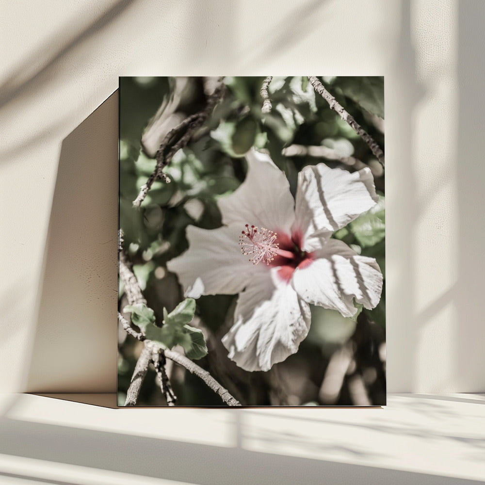 Whispering Blossom | Canvas