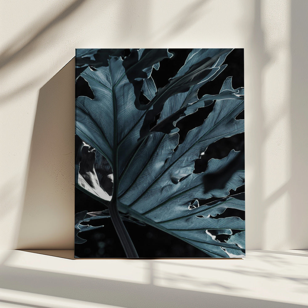 Leafy Shadowscape | Canvas